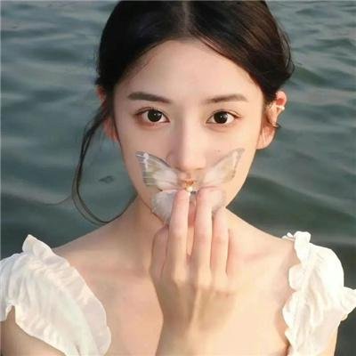 爱与森林